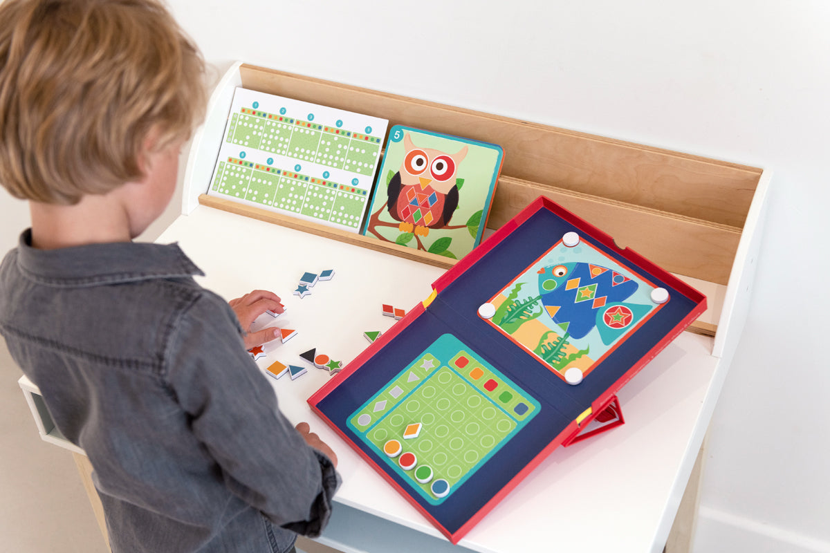 Magnetic colours and shapes / Magnetische kleuren en vormen